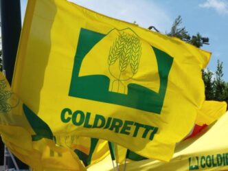 Il Ruolo Centrale Dell27Agricol