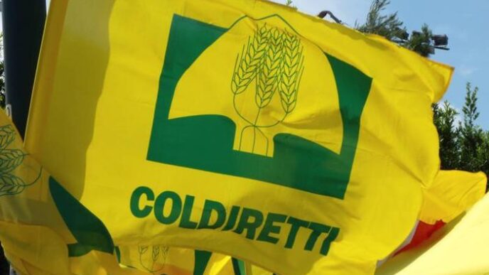 Il Ruolo Centrale Dell27Agricol