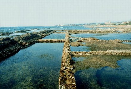 Il Santuario Etrusco Di Punta