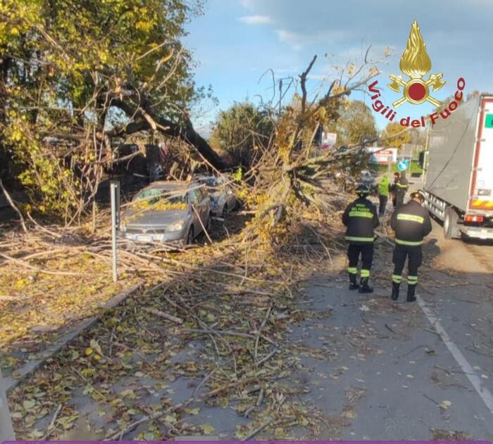 Imperia3A I Vigili Del Fuoco In