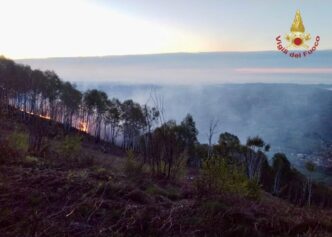 Incendi Dolosi In Valle Argent