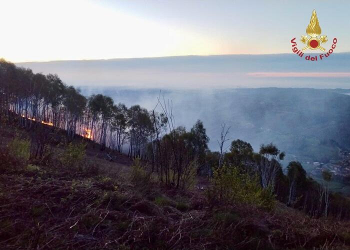 Incendi Dolosi In Valle Argent
