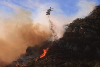 Incendio Boschivo Devasta Mali