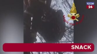 Incidente Sul Volo In Parapend