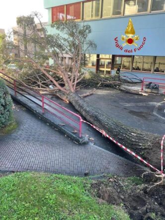 Indagini Sul Crollo Di Un Albe