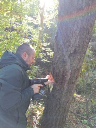 Ispezione Nel Bosco Di Valcann