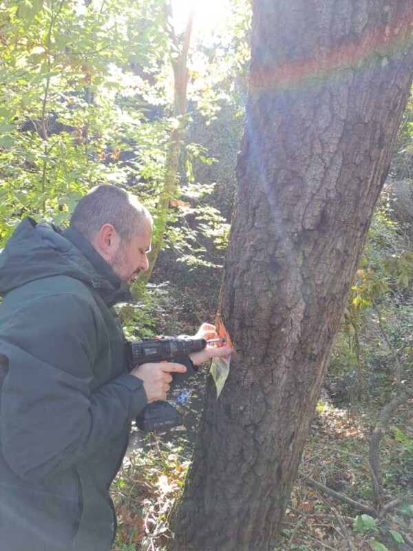 Ispezione Nel Bosco Di Valcann