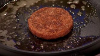 Italia Pioniere Nella Carne Co