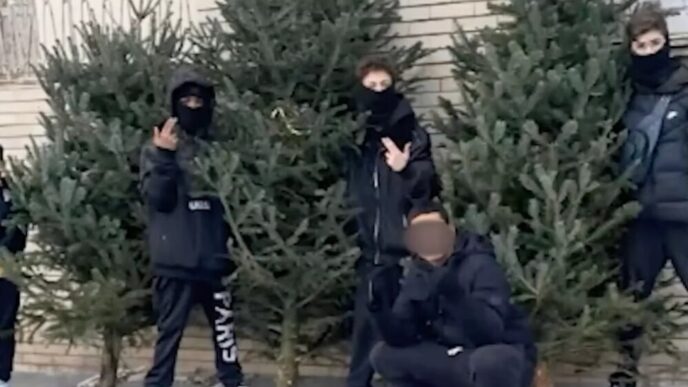 Le28099Aumento Dei Furti Di Alberi