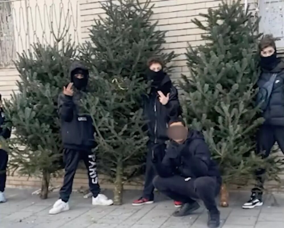 Le28099Aumento Dei Furti Di Alberi