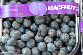 La Berry Area Di Macfrut 20253A