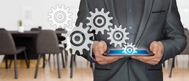 La Consulenza Aziendale Si Evo