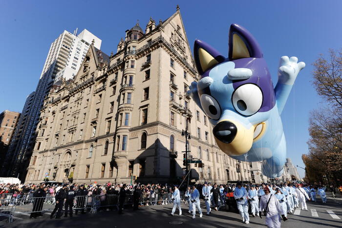 La Dolce Cagnolina Bluey Conqu