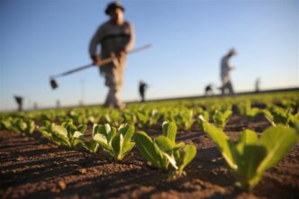 La Gestione Della Fauna Selvat