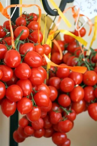 La Masseria Dello Sbirro3A Un27E