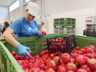 La Masseria Fruttirossi Presen
