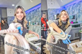 La Pescivendola Di Casoria Per