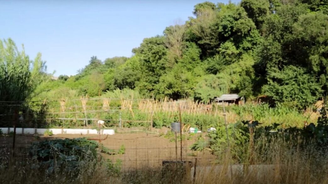 La Riqualificazione Dell27Area