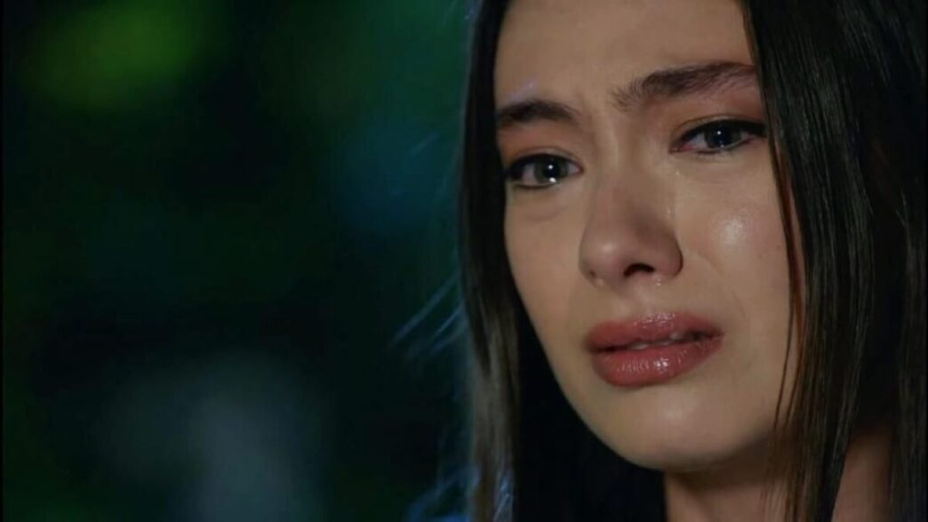 La Soap Turca Endless Love Reg