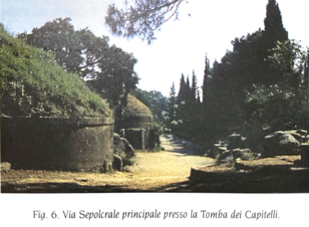 La Trasformazione Funeraria Ne