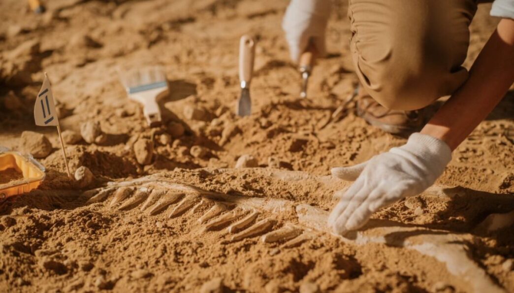 Le Incredibili Scoperte Archeo