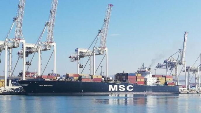 Msc E Italia Marittima Aderisc