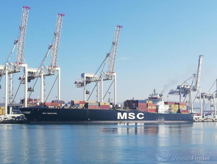 Msc E Italia Marittima Aderisc