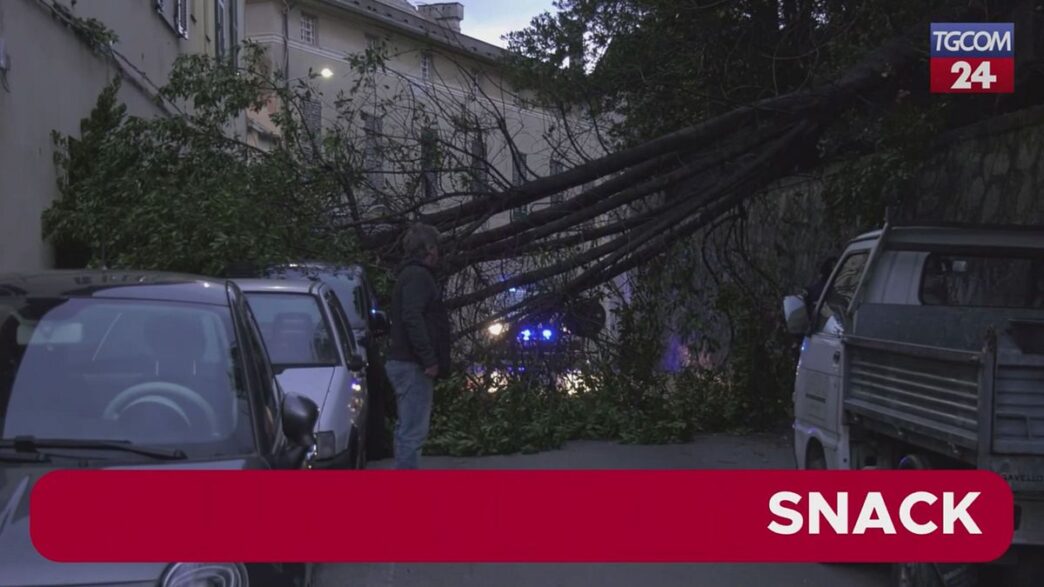 Maltempo In Liguria3A Il Vento
