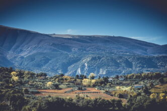 Masciarelli Tenute Agricole Pr