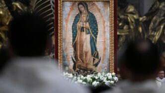 Messa Vaticana Per La Beata Ve