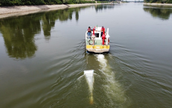 Microplastiche Nel Fiume Po3A U