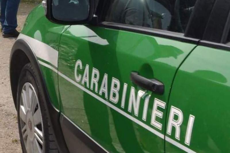 Monte San Biagio3A Nuove Violaz
