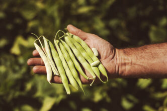 Mormanno Ospita Slow Beans 202