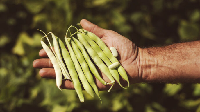 Mormanno Ospita Slow Beans 202