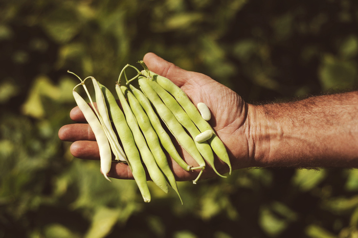 Mormanno Ospita Slow Beans 202
