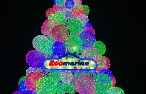 Natale A Zoomarine3A Il Magico