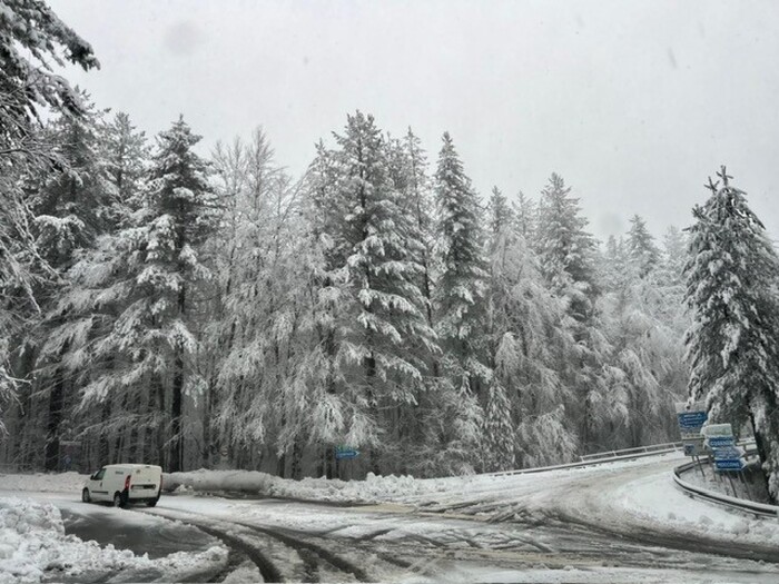 Neve Sulla Sila3A Condizioni Id