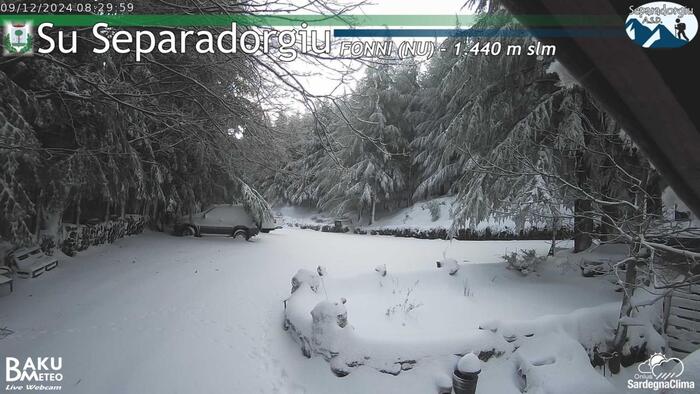 Nevicate Abbondanti In Sardegn