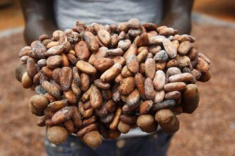 Nuova Fabbrica Di Cioccolato I