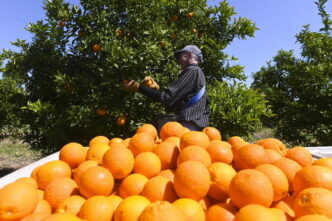 Nuove Professioni In Agricoltu
