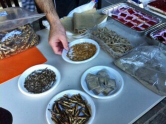 Nuovi Alimenti A Base Di Inset