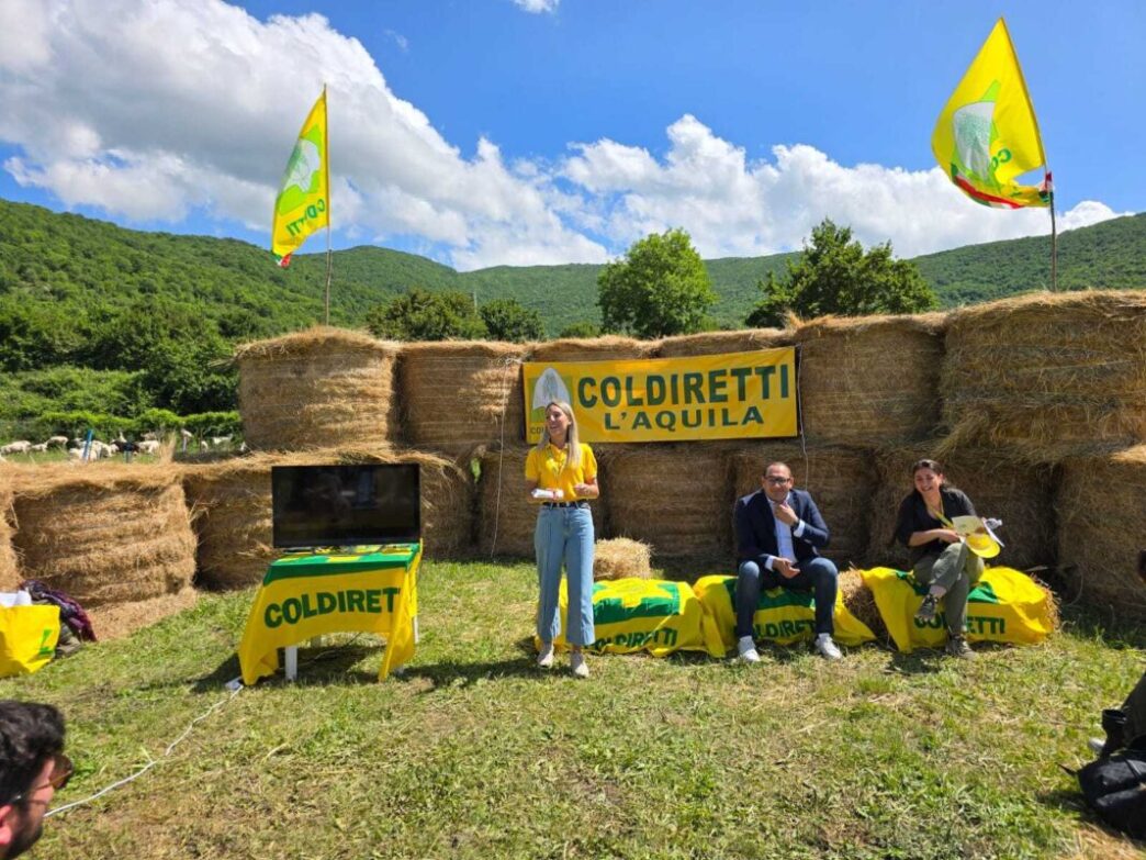 Nuovo Mercato Coperto Di Campa