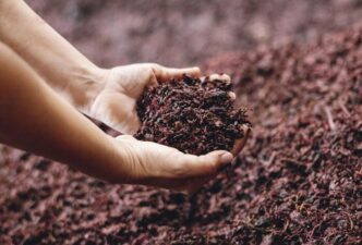 Nuovo Progetto Europeo A Padov