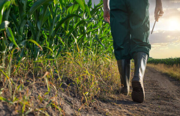 Oltre Un Milione Di Agricoltor