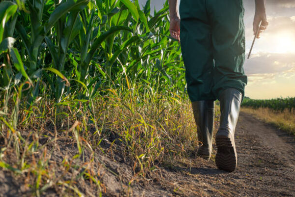 Oltre Un Milione Di Agricoltor