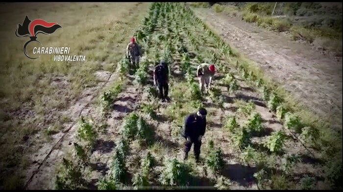 Operazione Antidroga A Limbadi