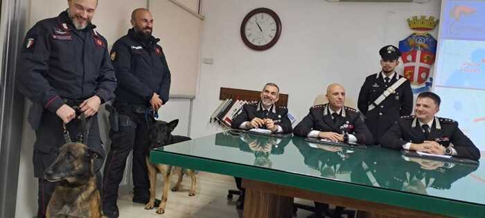Operazione Antidroga In Valner