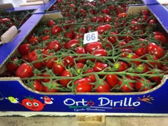 Orto Dirillo3A Un Esempio Di Ag