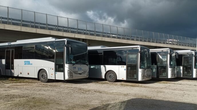 Ottanta Nuovi Autobus In Basil