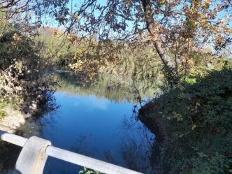 Presentazione Del Primo Parco